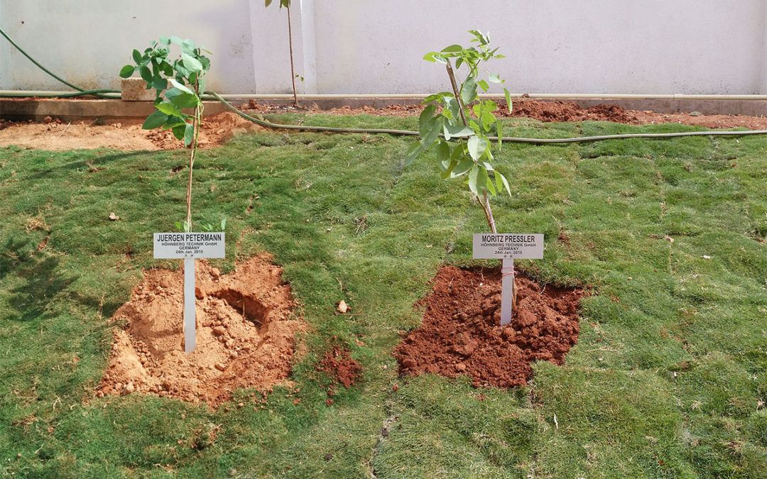 Jahresrückblick – Januar 2015: Zusammenarbeit mit UCAM Ltd. Bangalore / Indien
